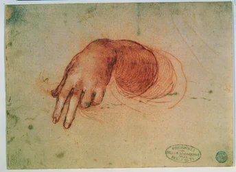 Study of a Hand